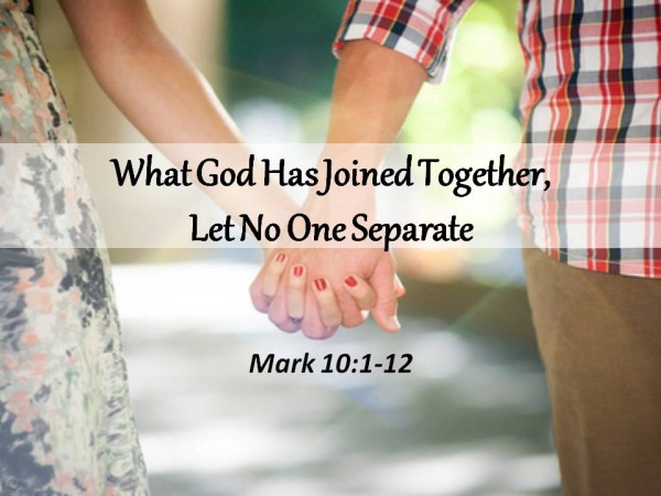 What God Has Joined Together Let No One Separate New Westminster Christian Reformed Church In 2901