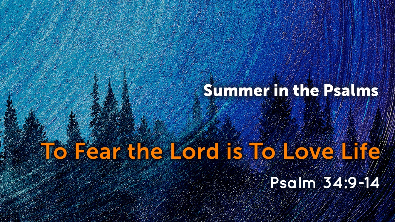 Image for the sermon To Fear the Lord is To Love Life